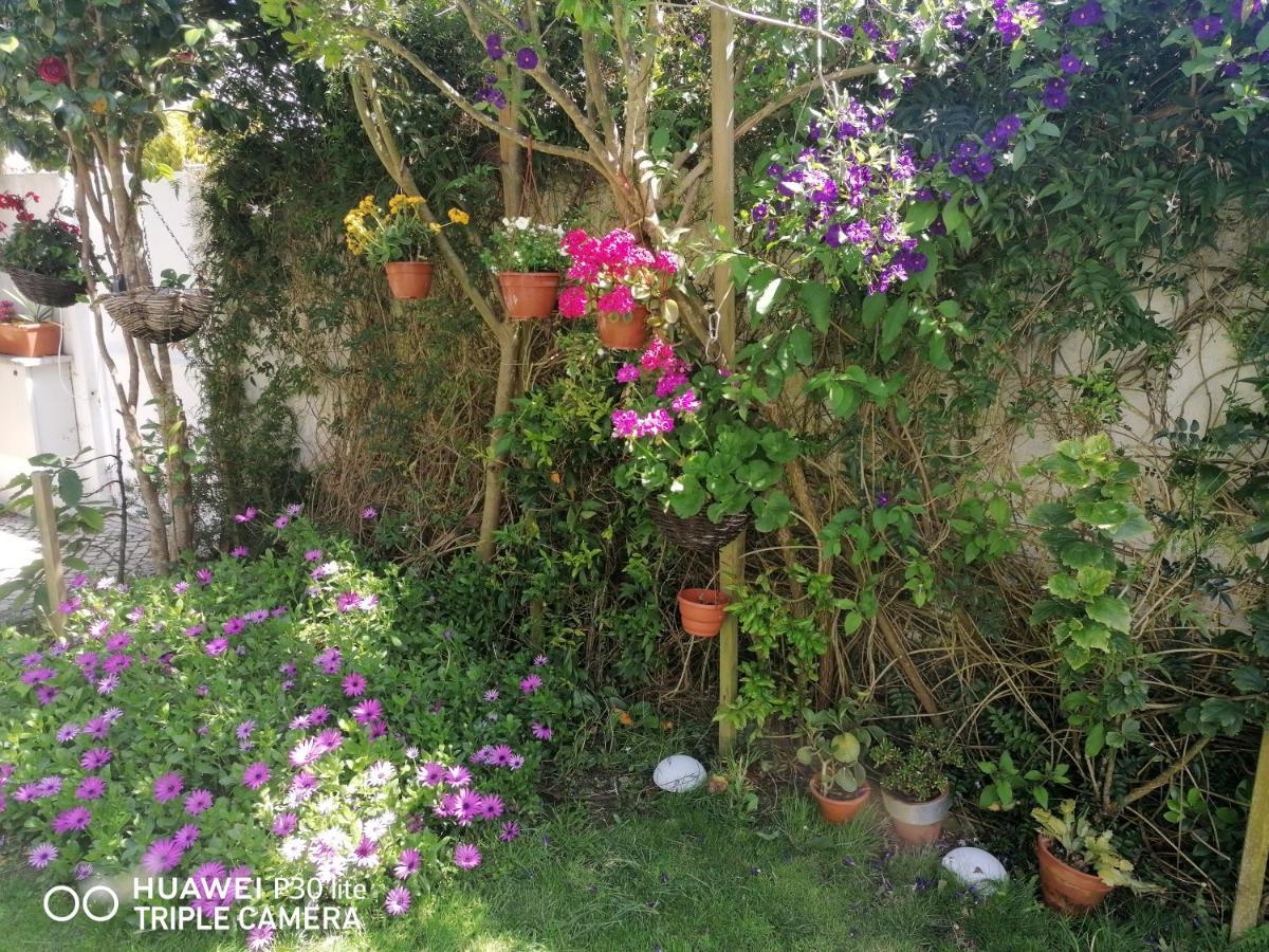 Homestay Silver Nazare