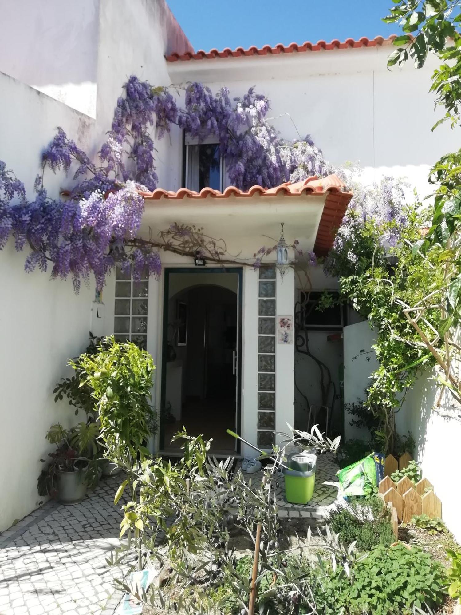 Homestay Silver